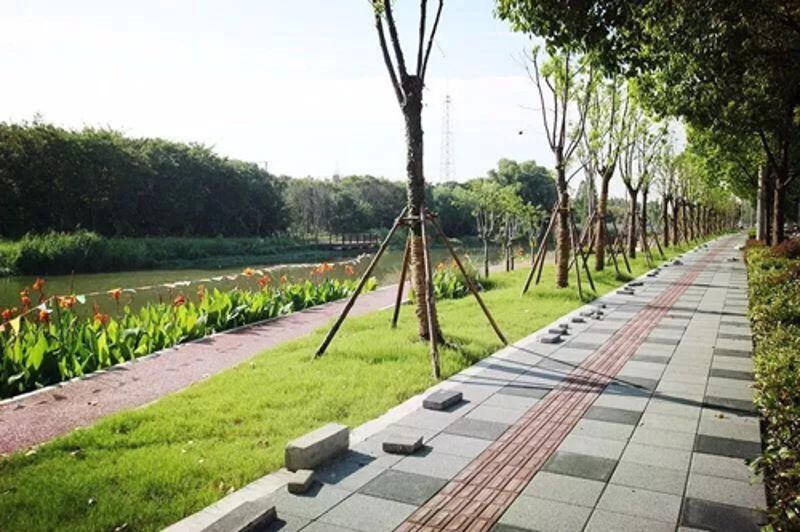 利来w66官网(中国区)_利来集团